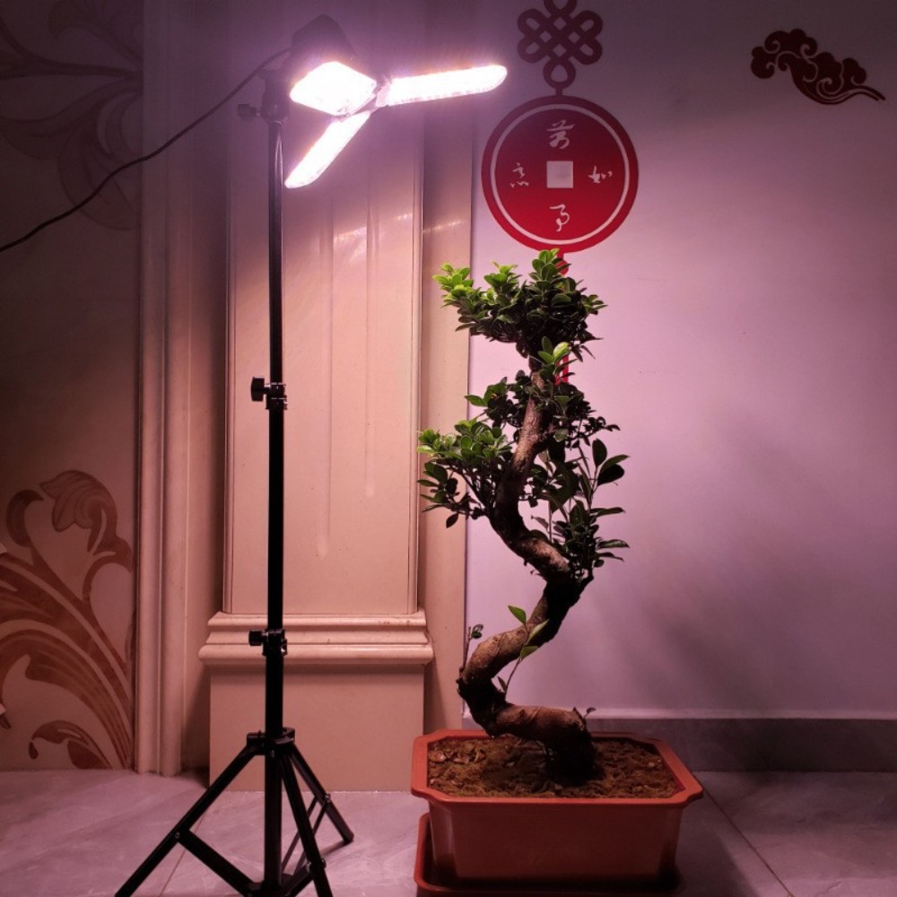 Support d'ampoule 2M, douille  - Photography Lighting Studio avis et prix