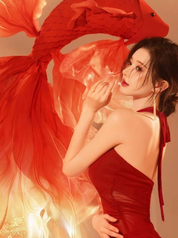 Costume de photographie rouge  - Photography Lighting For Clothing avis et prix