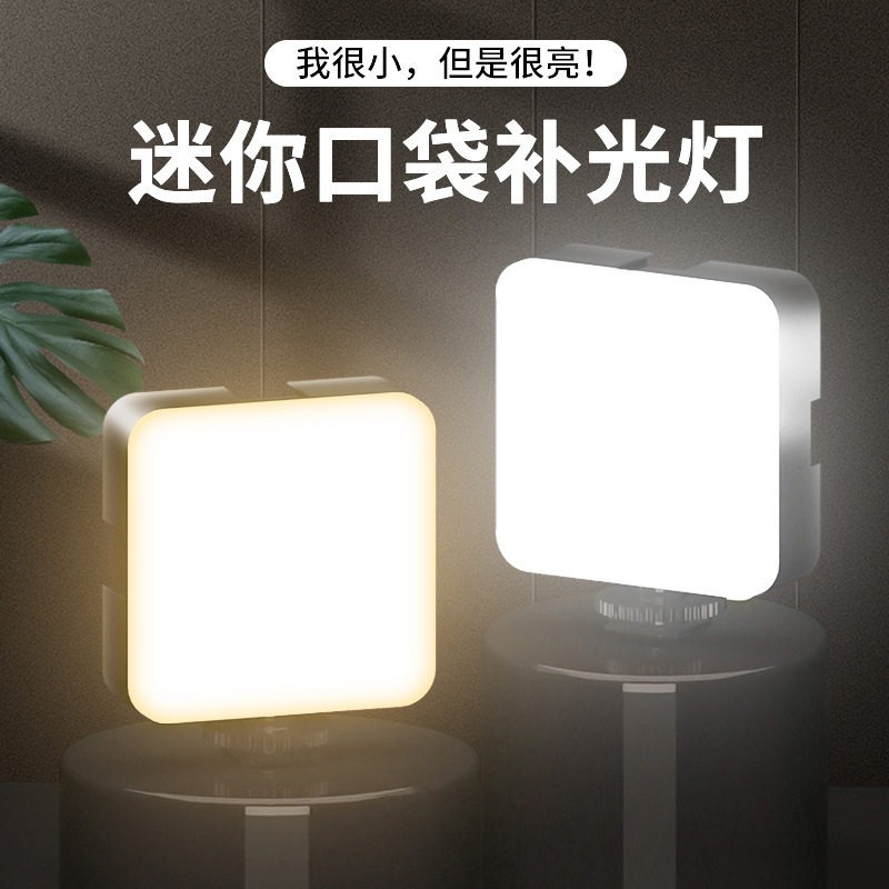 Lampe vidéo portable de poche  - Portrait Photography With Lighting avis et prix